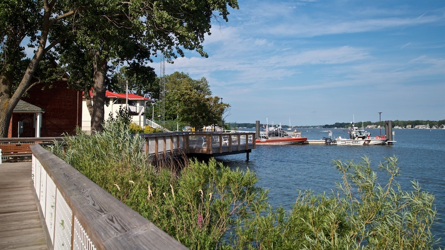 Lake Michigan showing a bay or harbor