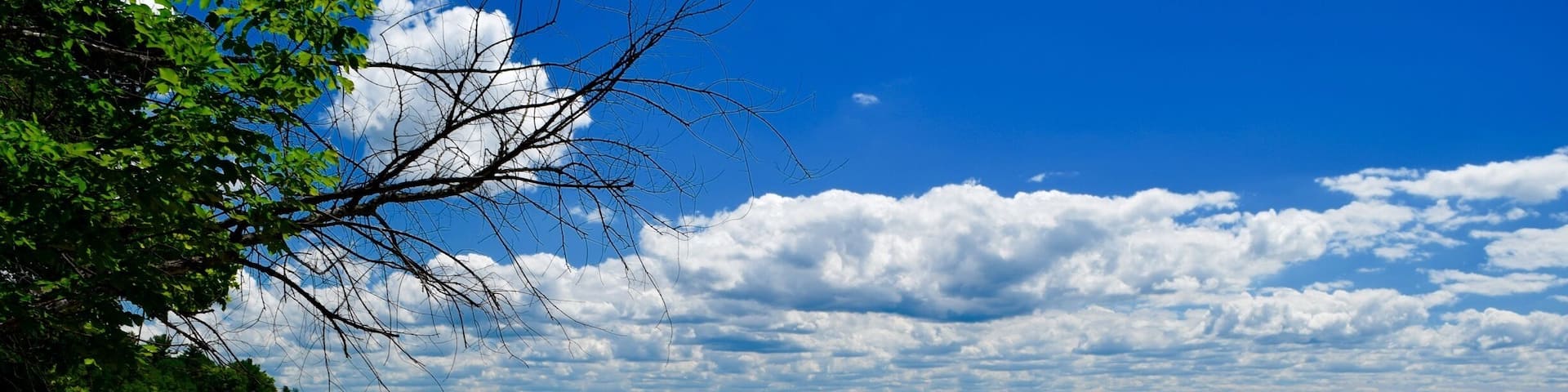 At 19 miles long and over 18,000 acres Torch Lake is Michigan's second largest lake, with a shoreline dotted with little secluded beaches. It is considered to be one of the top five clearest lakes in the world. I've never seen such clear water! #blue #colorful #AquaTrove #BeachTips #Nature