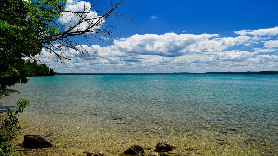 A clear lake with visible rocks and trees on the shore.
