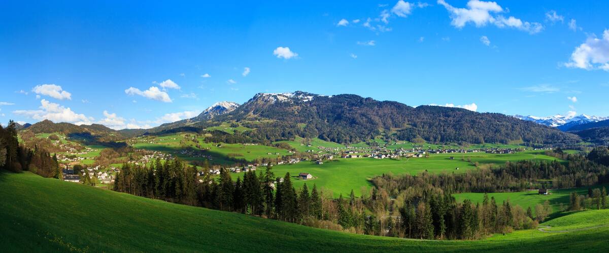 A valley with green fields, a mountain range, and a small village.