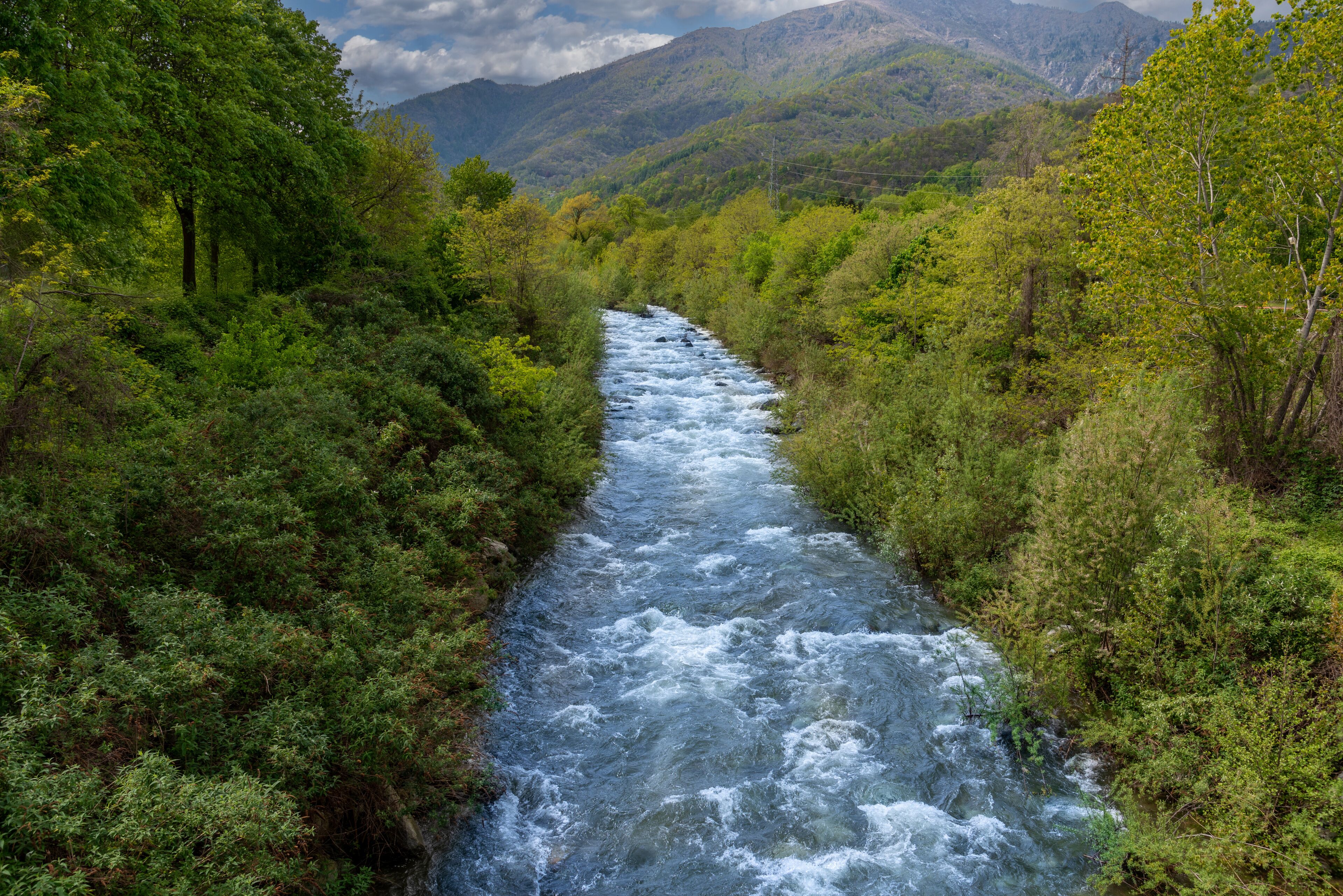 A river flowing through a forested valley with mountains in the background.