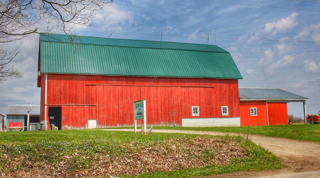 Ein rotes Bauernhaus mit einem grünen Dach, ein kleines weißes Gebäude und ein Feldweg.