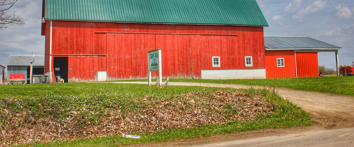 Coldwater Road Red II