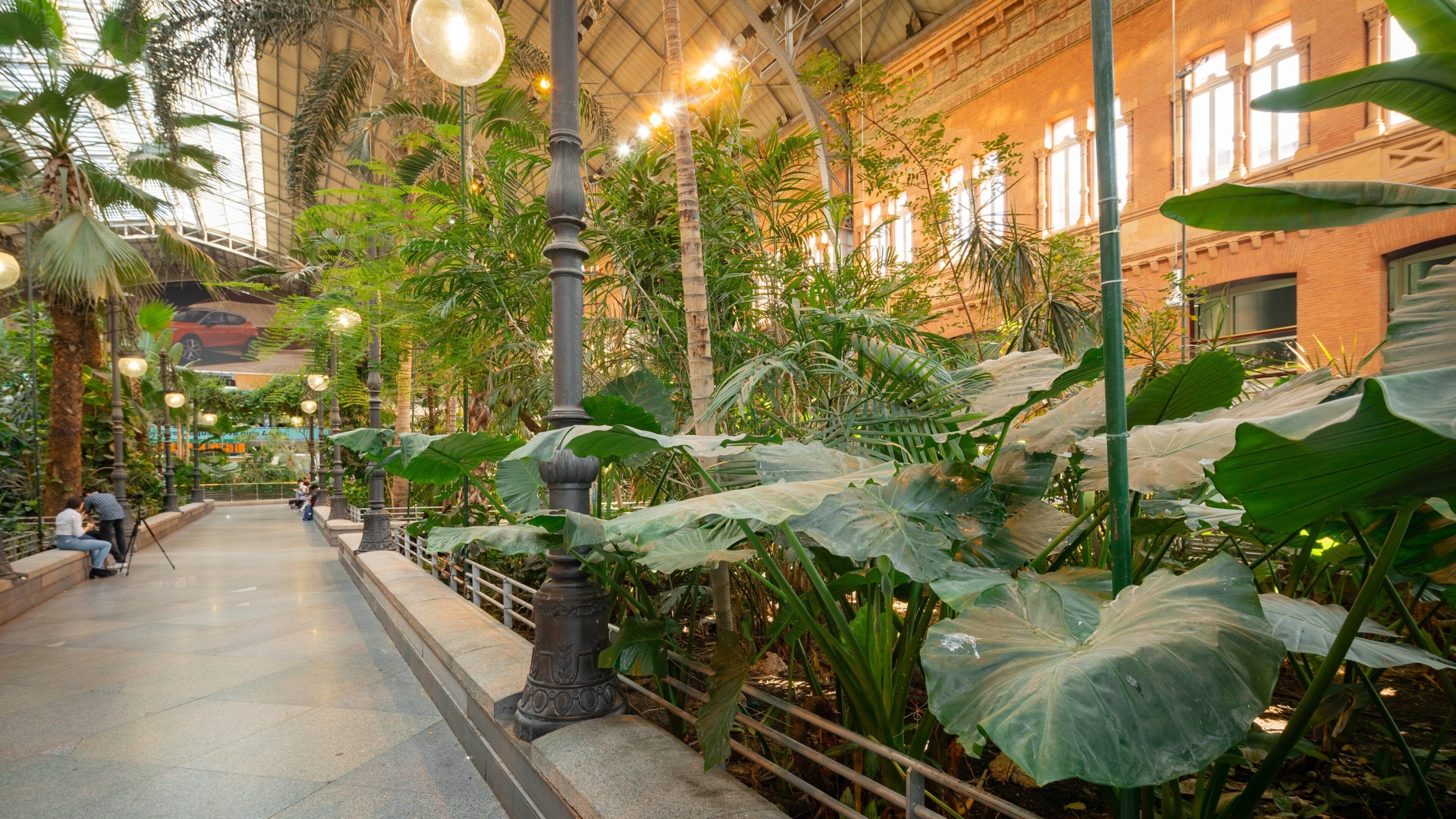 St Maarten and St Martin which includes a garden and interior views