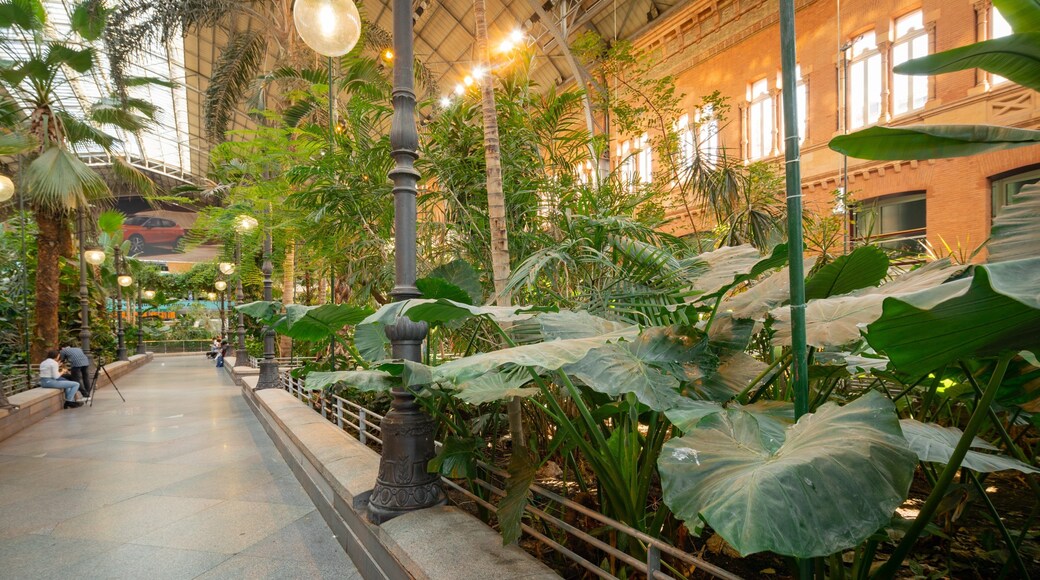 St Maarten and St Martin which includes a garden and interior views