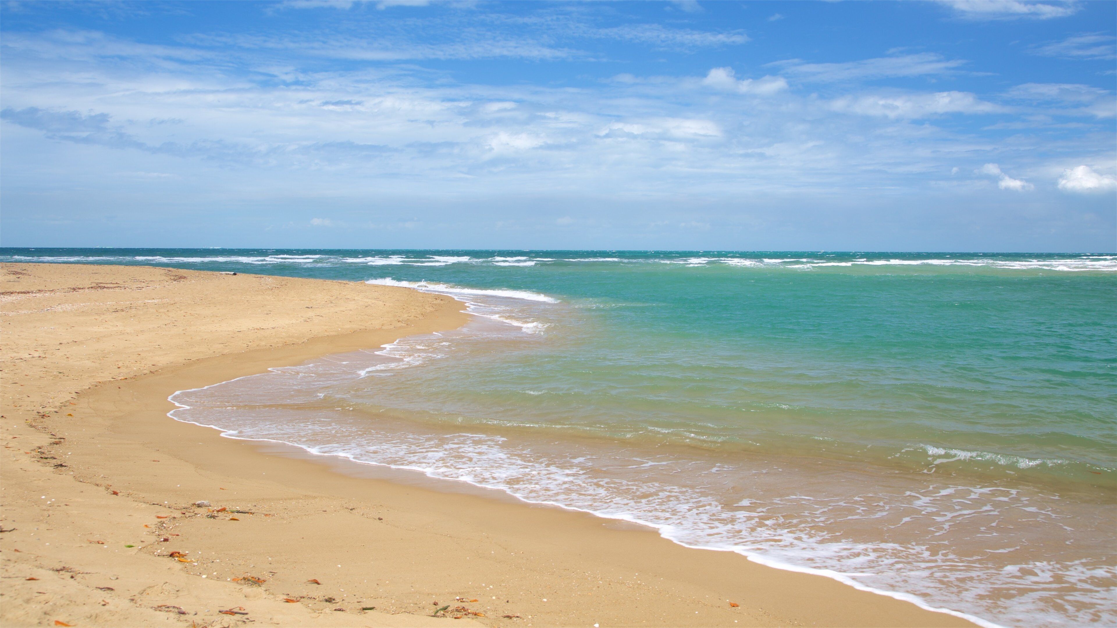 A sandy beach with gentle waves and a clear sky.
