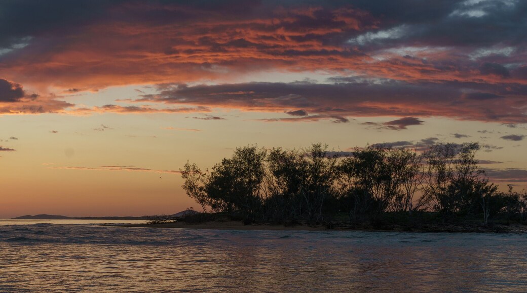 Ein Sonnenuntergang über einem Gewässer mit einer kleinen Insel und Bäumen im Vordergrund.