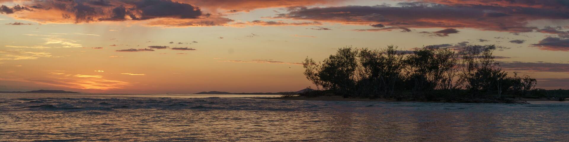 A sunset over a body of water with a small island and trees in the foreground.