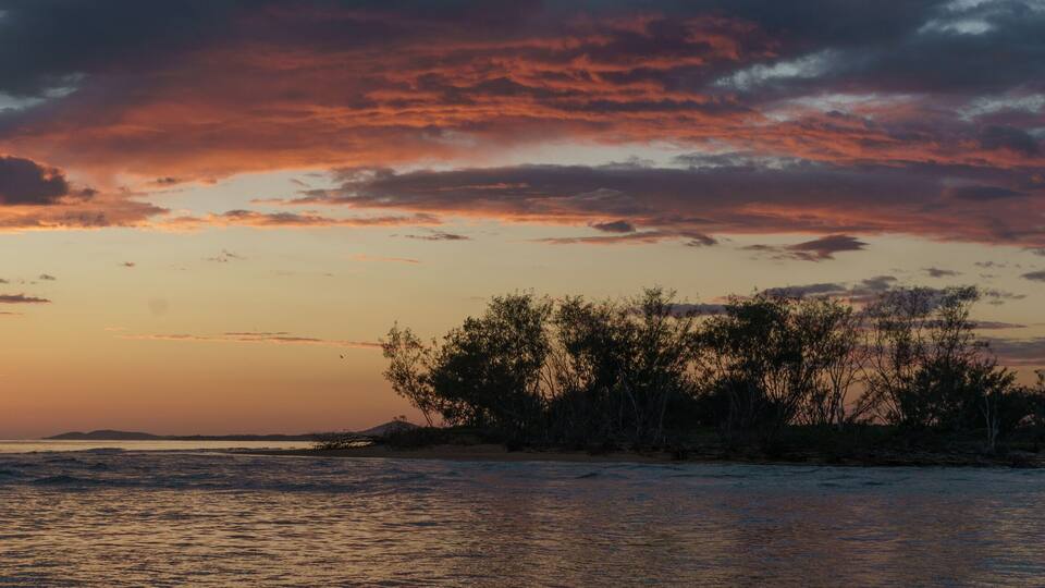 Un atardecer sobre un cuerpo de agua con una pequeña isla y árboles en primer plano.
