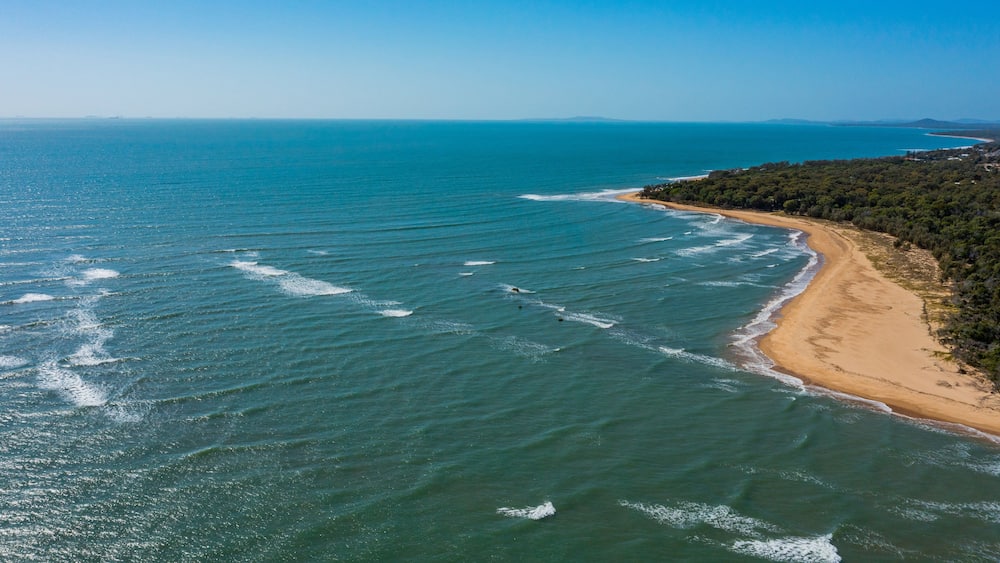 A coastal landscape with a sandy beach and dense forest.