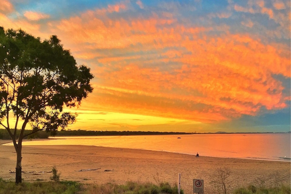 Un coucher de soleil sur une plage, avec un arbre et un panneau au premier plan.