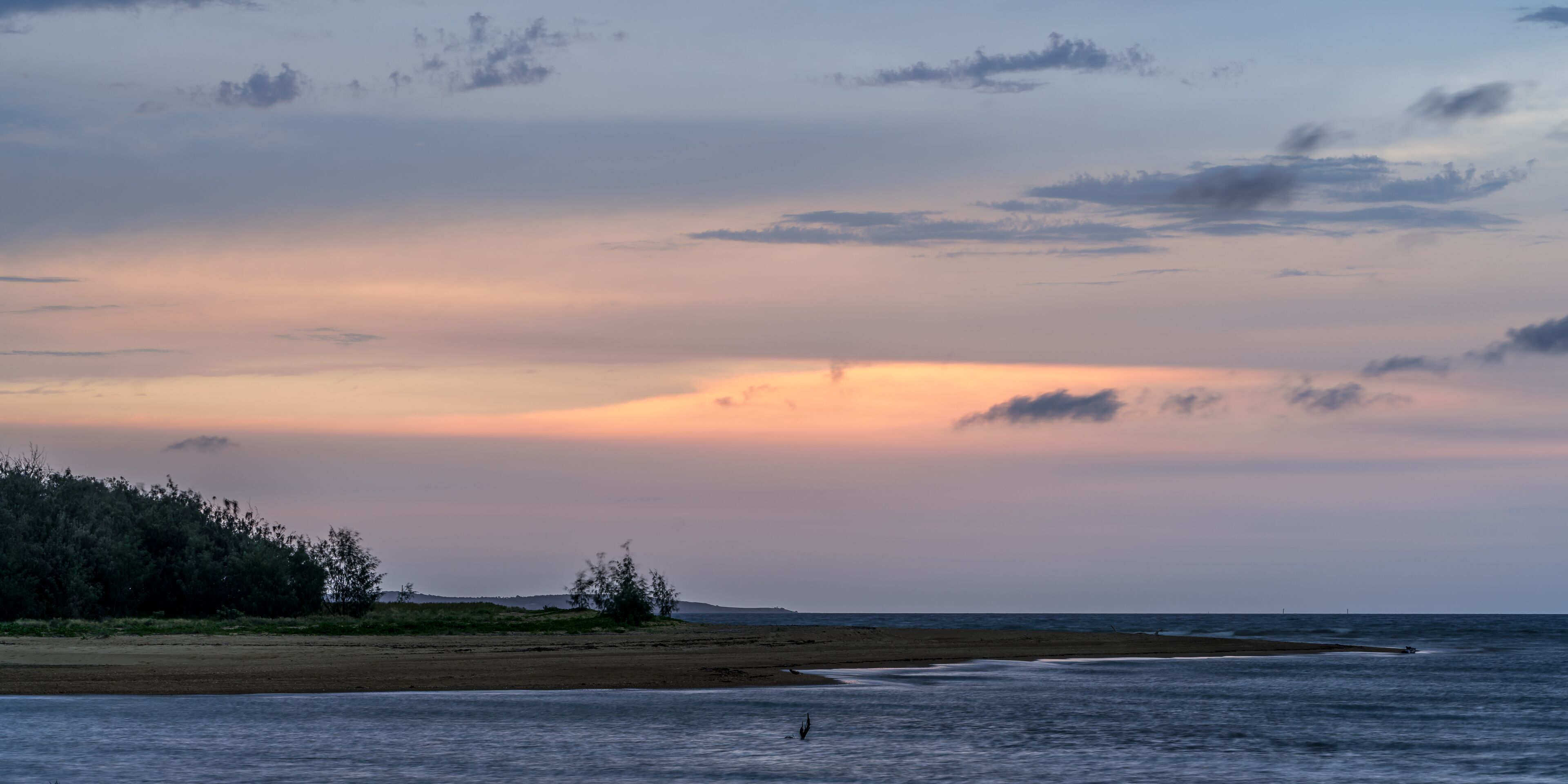 Una playa con un atardecer, árboles y el océano.