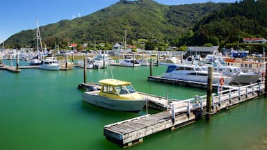 Marlborough showing a marina, forest scenes and mountains