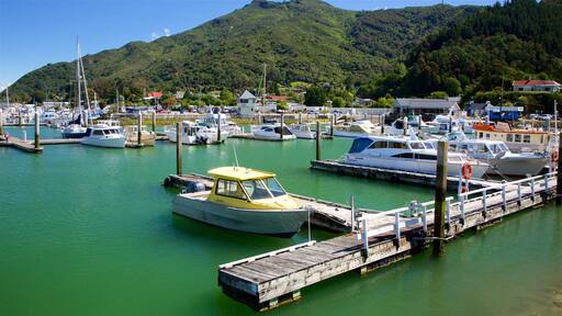 Marlborough que inclui florestas, montanhas e uma marina
