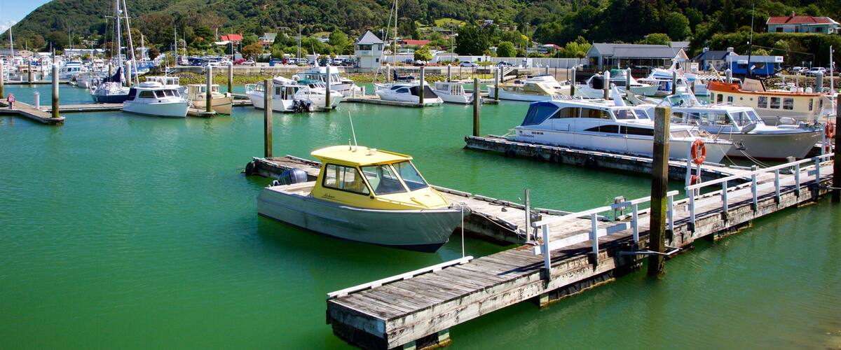 A marina with various boats docked, surrounded by lush greenery and a mountain in the background.
