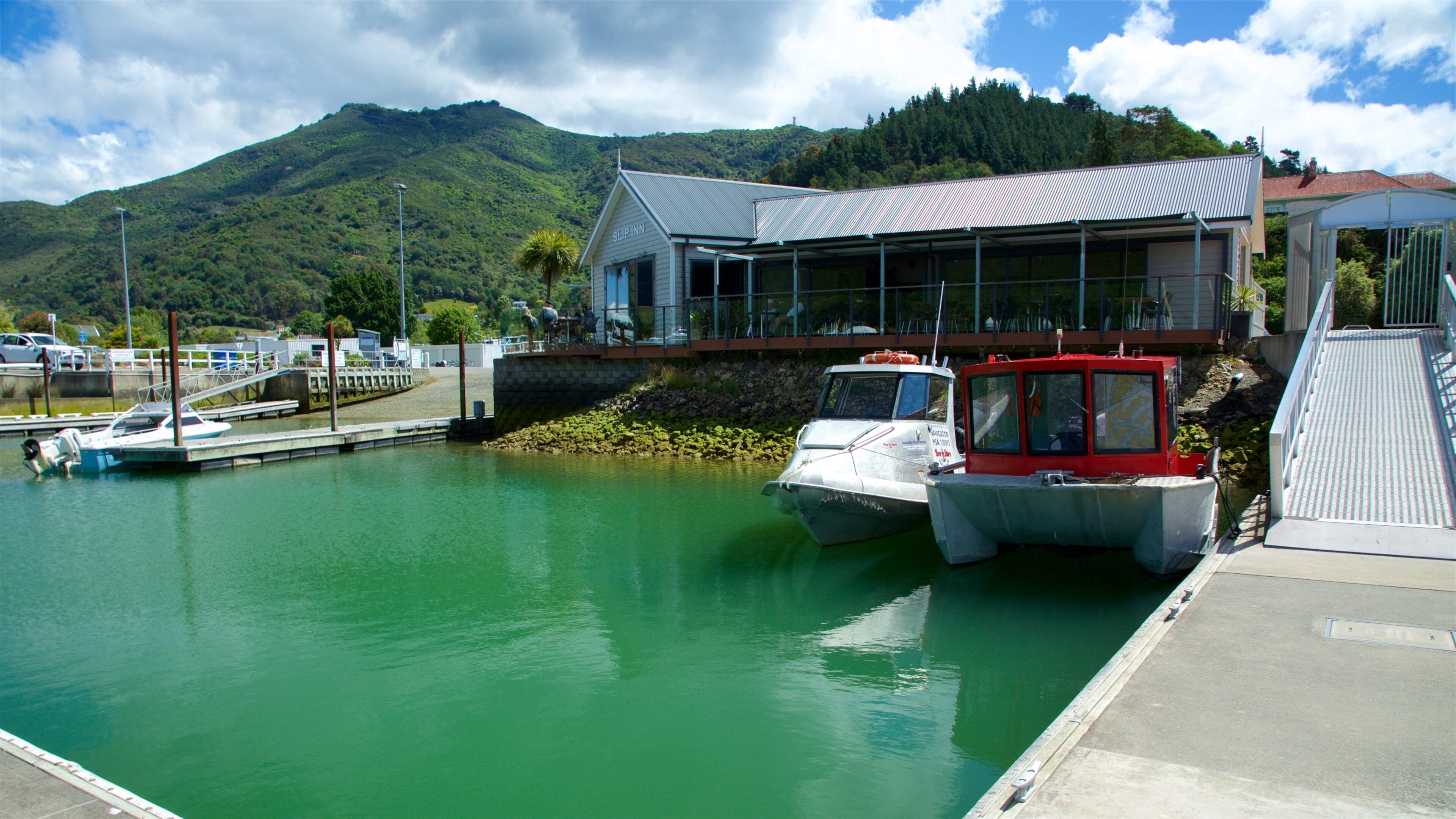Marlborough featuring forests, a coastal town and boating