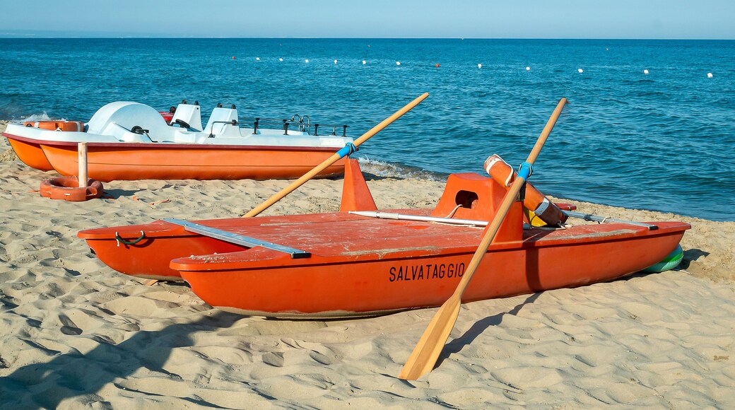 ๋ง๋ฆฌ๋ ๋ ํผ์คํฐ์น