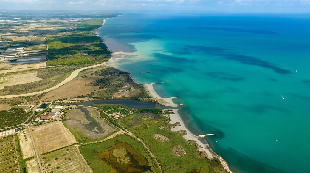 ๋ง๋ฆฌ๋ ๋ ํผ์คํฐ์น