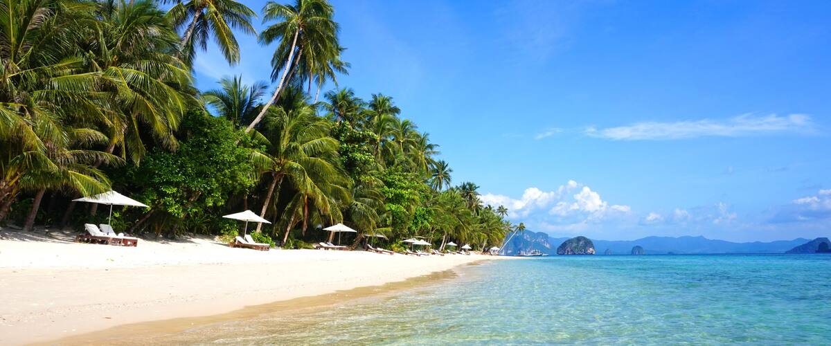 A beach with clear turquoise water, white sand, and palm trees.