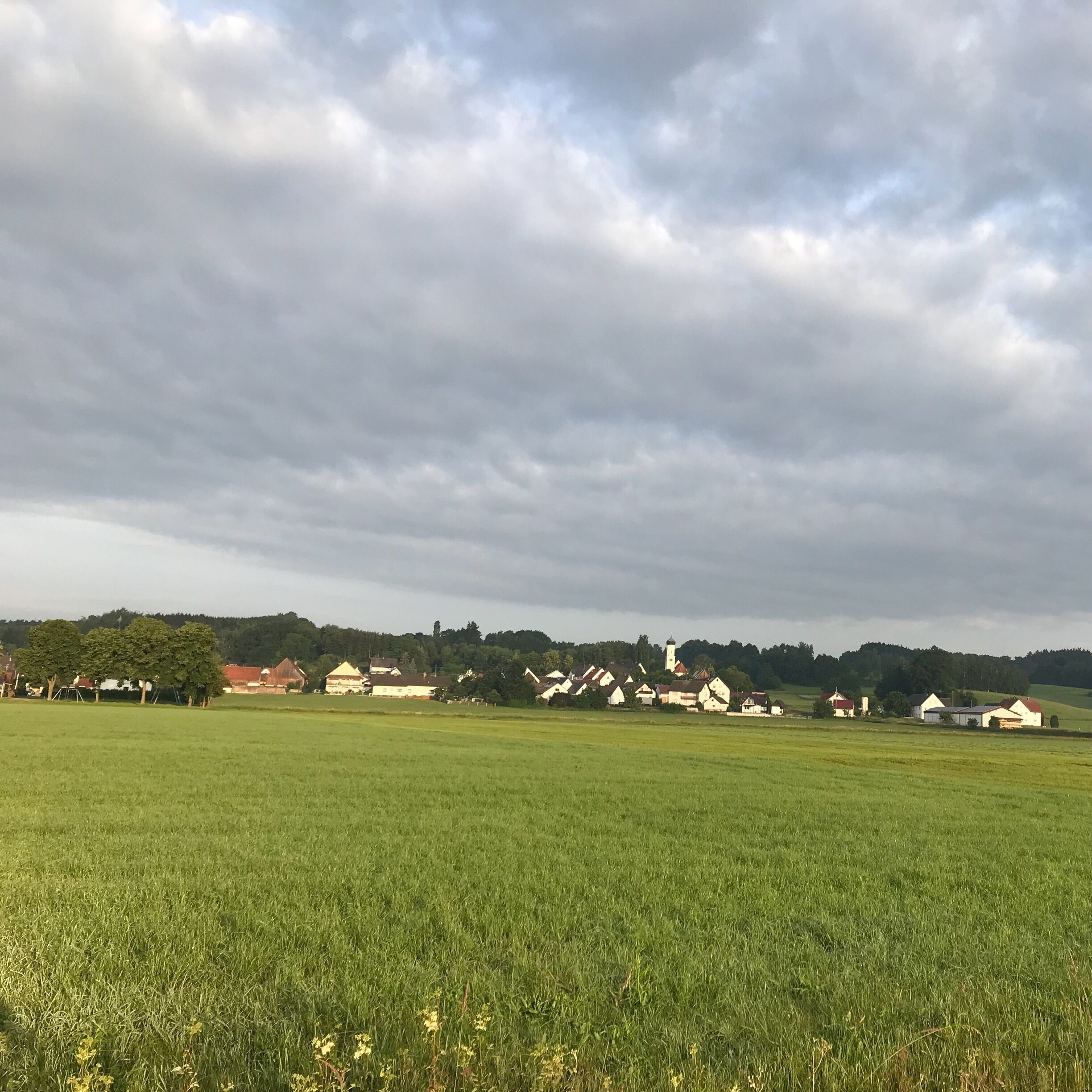 The top tube is a village with 830 inhabitants. It belongs to the municipality of Ursberg in the district of Günzburg