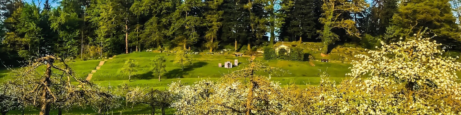 This Orchard is a Dominikus Ringeisen to establish work.