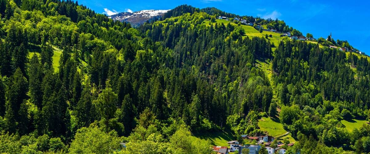 A mountainous landscape with dense forests and a small village nestled in the valley.