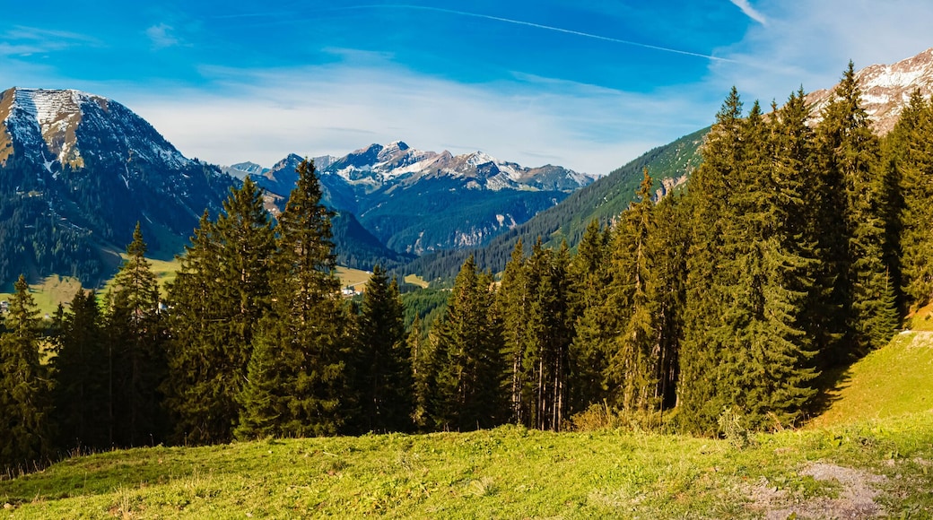 High resolution stitched alpine summer panorama at Mount Almkopf, Bichlbach, Reutte, Tyrol, Austria