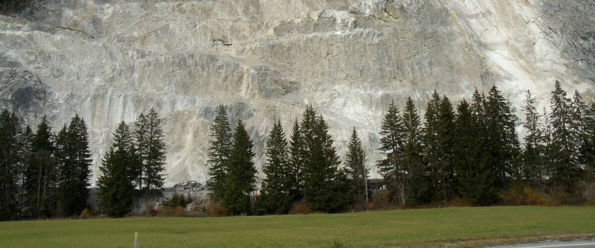 A mountain with a rocky face and a forest at its base.