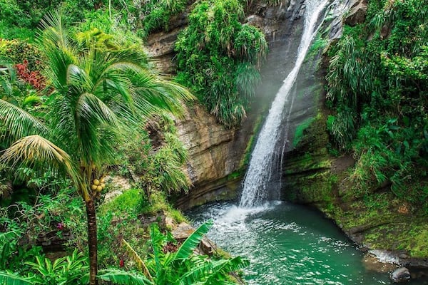 We took some time to go inland on the Island of Grenada. Unlike many topical islands that are more of a desert landscape Grenada has a lush tropical landscape. It is easy to find pineapple growing on the sides of the roads. There are so many beautiful waterfalls as you start to make your way up into the forest area!