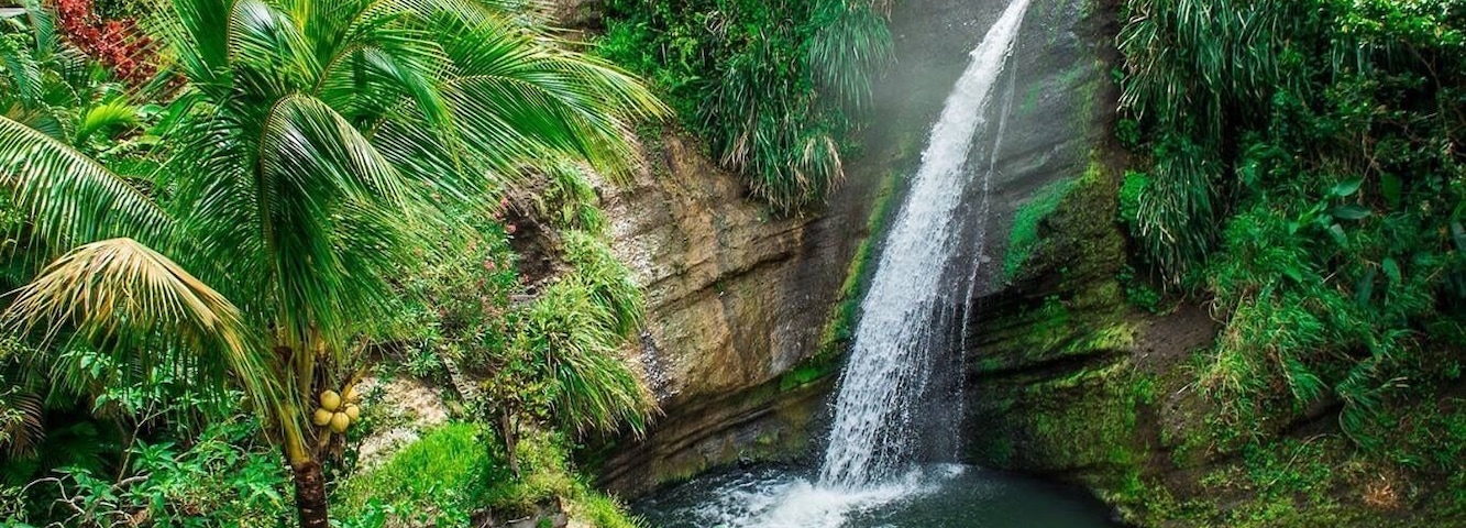 A waterfall cascading into a pool surrounded by lush greenery and a palm tree.