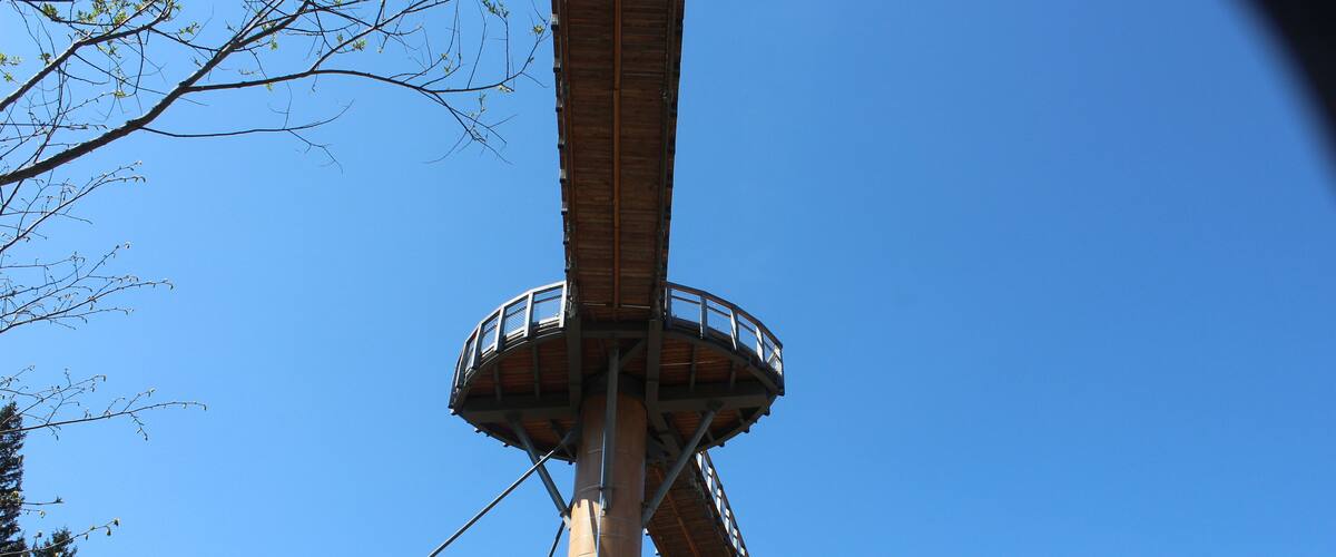 A tall tower with a circular observation deck and a bridge structure.
