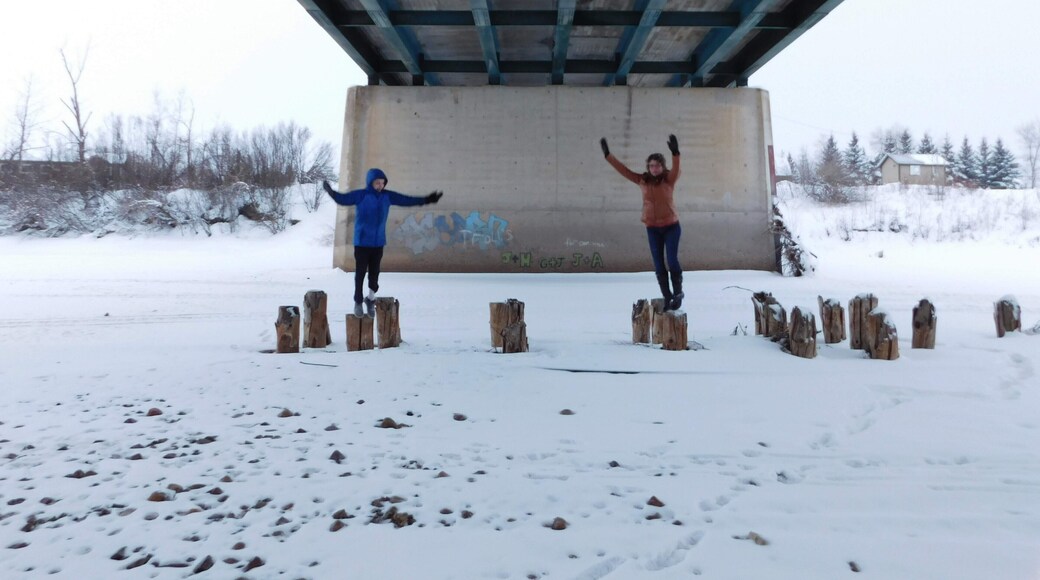 Under the Manning Bridge in Winter.