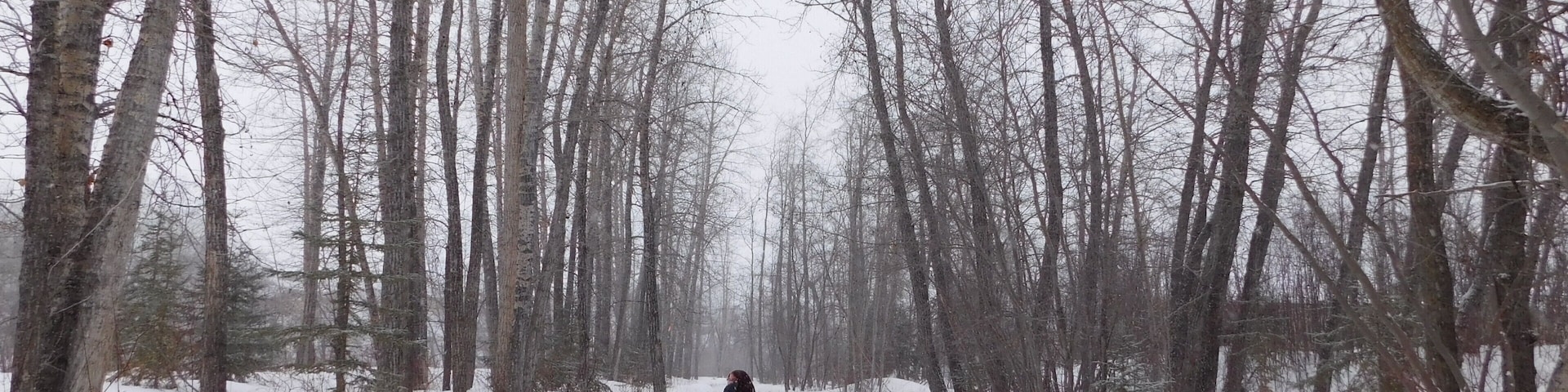 Winter Walking Trails Along Riverfront Campground.
Manning was originally named Aurora (as many business' are named after the original name), but was changed to Manning after a town in Ontario already had the name. Manning was chosen to honor Ernest Chrales Manning 91908-1996), the premier of Alberta.