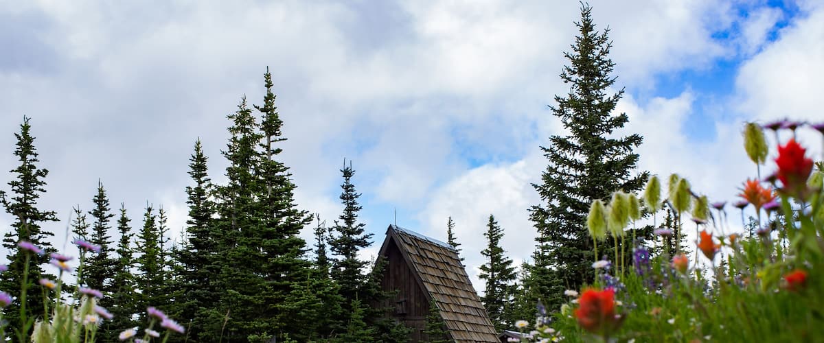 Cabin with flowers all around at Blackwall Peak parking lot in Manning Park, British Columbia, Canada