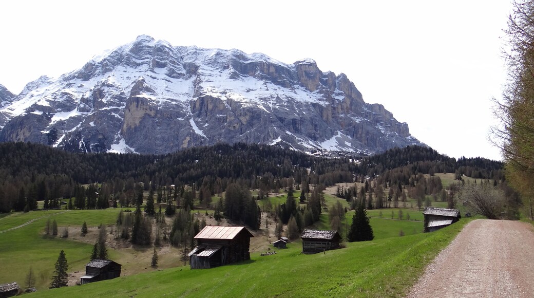 Prati dell'Armentara (Q49966964)