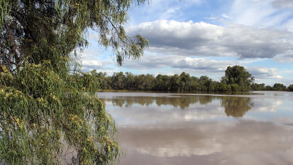 Trees surrounding a lake of water with a cloudy blue sky at the Chinchilla Weir in Queensland, Australia