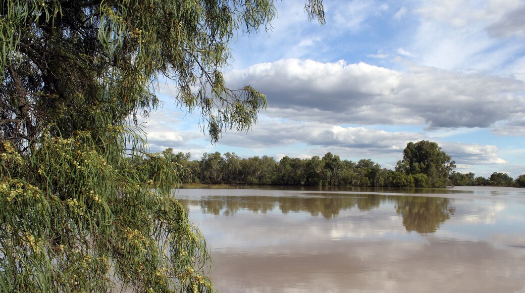 Trees surrounding a lake of water with a cloudy blue sky at the Chinchilla Weir in Queensland, Australia