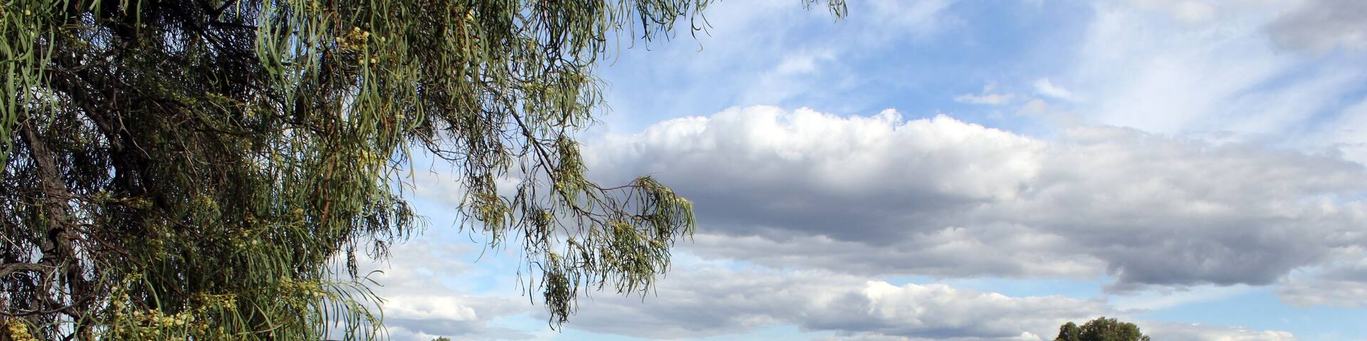 Trees surrounding a lake of water with a cloudy blue sky at the Chinchilla Weir in Queensland, Australia