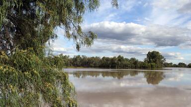 Trees surrounding a lake of water with a cloudy blue sky at the Chinchilla Weir in Queensland, Australia