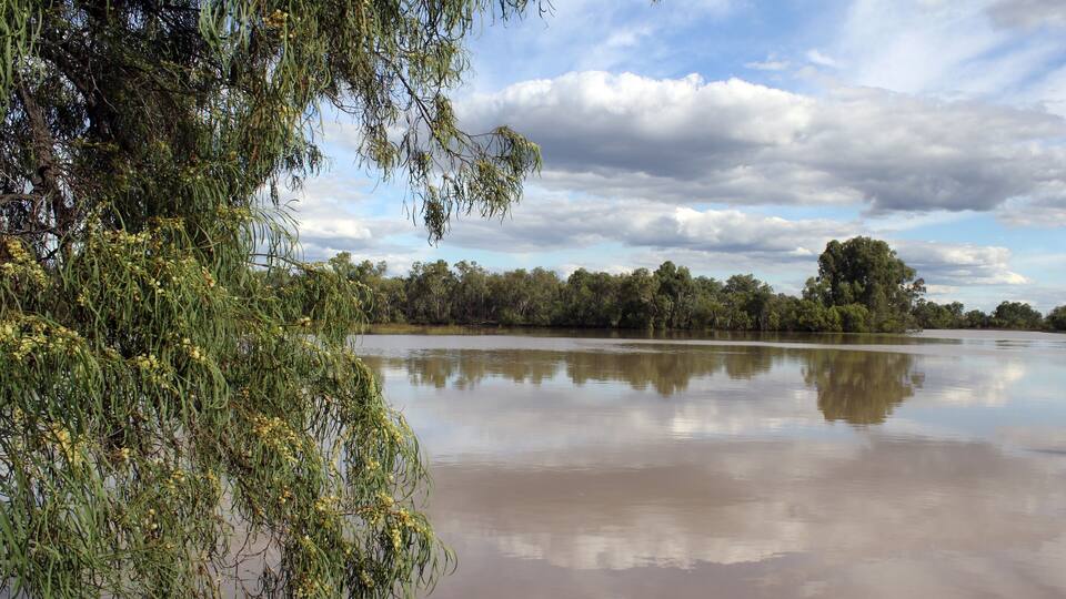 Trees surrounding a lake of water with a cloudy blue sky at the Chinchilla Weir in Queensland, Australia