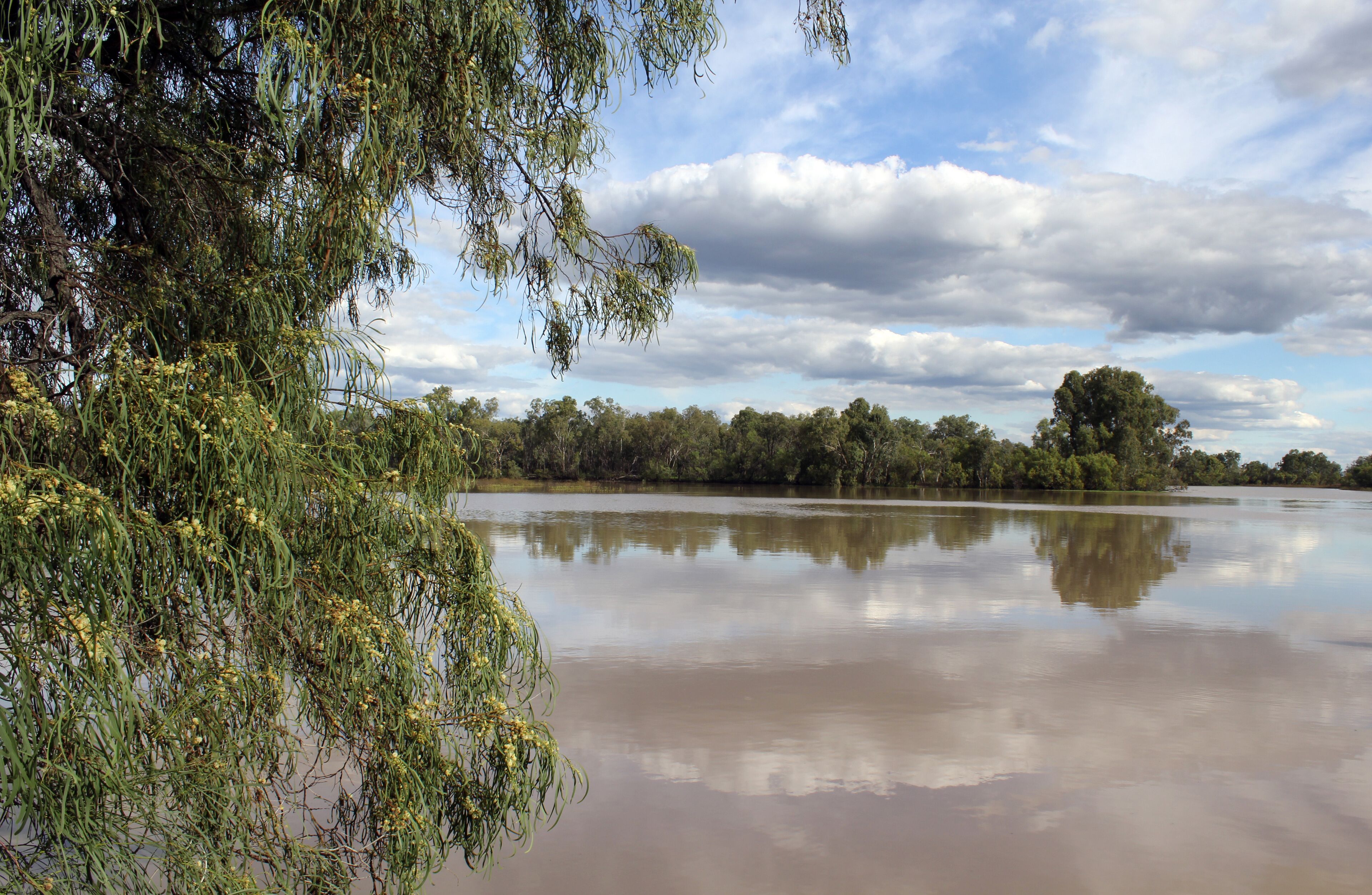 A calm river with dense foliage and trees reflecting in the water.