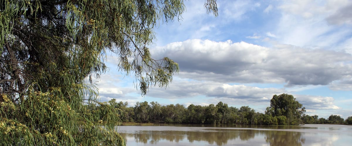 A calm river with dense foliage and trees reflecting in the water.