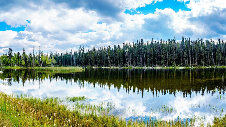 A calm lake reflecting a dense forest and a partly cloudy sky.