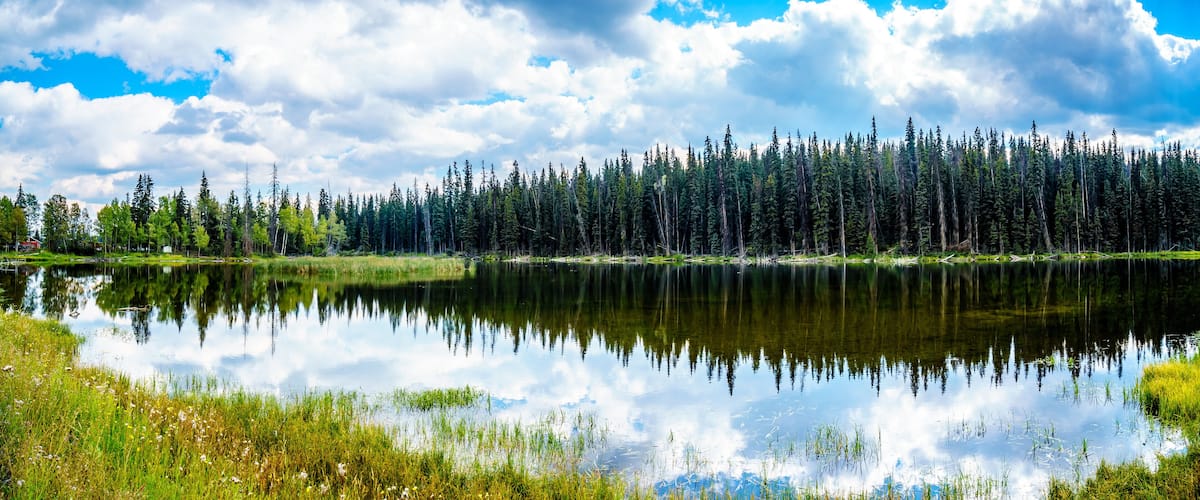 A calm lake reflecting a dense forest and a partly cloudy sky.