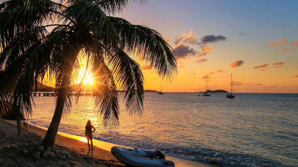 A sunset beach scene with palm trees, a person, and sailboats on the water.