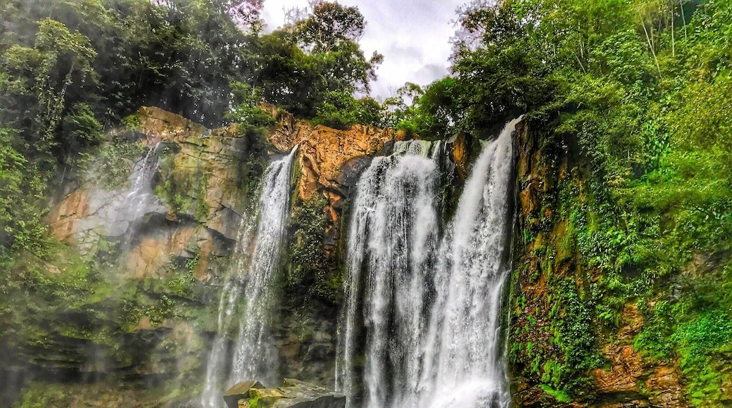 Nauyaca Waterfalls (upper fall). Join a horseback tour for a unique experience.