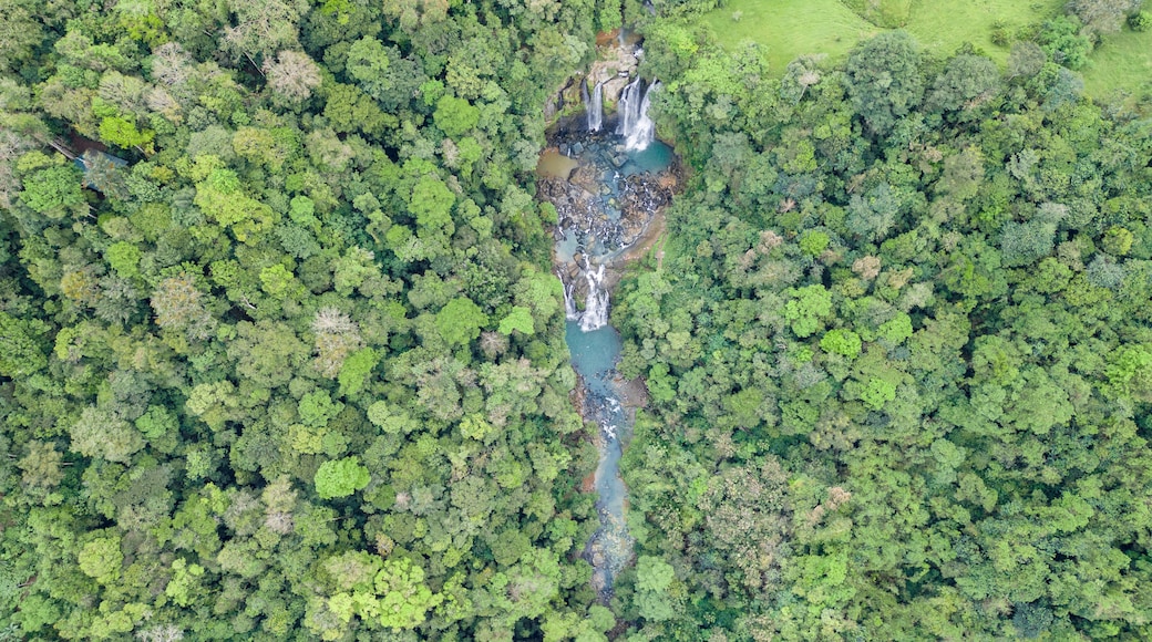 Top view of a landscape surrounded by nature with the Nauyacas Waterfalls of the Baru River in the middle of the green tropical forest in Costa Rica