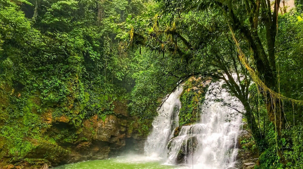 Nauyaca Waterfalls. Join a horseback tour for a unique experience.