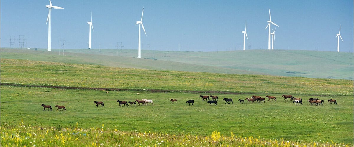 Summer to the #Wulanchabu Grassland of Inner Mongolia,China.
https://twitter.com/Beautifulgx