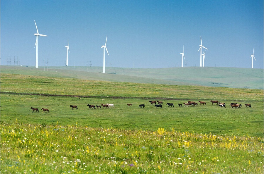 Summer to the #Wulanchabu Grassland of Inner Mongolia,China.
https://twitter.com/Beautifulgx